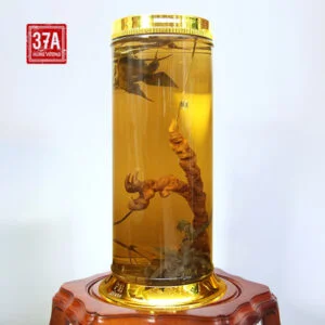 Rượu Sâm Ngọc Linh tự nhiên 50 năm 0.45kg