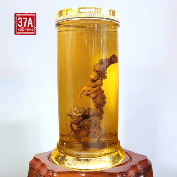 Rượu Sâm Ngọc Linh tự nhiên 80 năm 0.9kg Rượu Sâm Ngọc Linh tự nhiên 80 năm 0.9kg