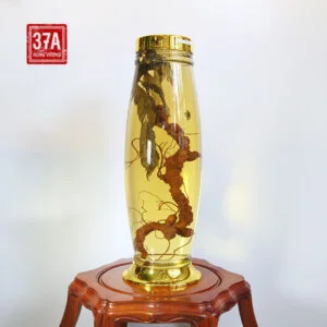 Rượu Sâm Ngọc Linh tự nhiên 60 năm 0.3kg