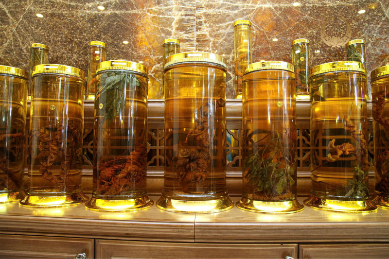 Giải mã Sâm Ngọc Linh: Loài sâm quý hiếm bậc nhất Giải mã Sâm Ngọc Linh: Loài sâm quý hiếm bậc nhất