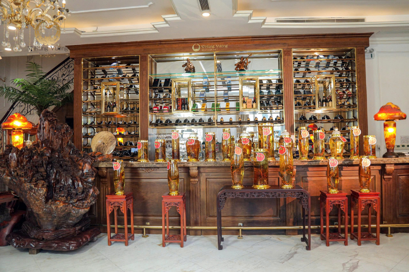 Sâm Ngọc Linh 37: Quốc bảo Việt Nam, tinh hoa của núi rừng