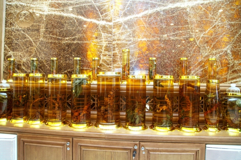 Sâm Ngọc Linh: Bí quyết khỏe đẹp và trẻ lâu Sâm Ngọc Linh Bí quyết khỏe đẹp và trẻ lâu