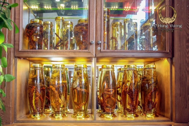 Sâm Ngọc Linh: Bí quyết nâng cao sức khỏe và khẳng định đẳng cấp người Việt Sâm Ngọc Linh Bí quyết nâng cao sức khỏe và khẳng định đẳng cấp người Việt