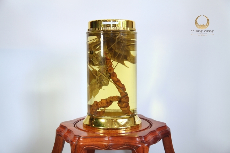 Sâm Ngọc Linh: Bí quyết nâng cao sức khỏe và khẳng định đẳng cấp người Việt Sâm Ngọc Linh Bí quyết nâng cao sức khỏe và khẳng định đẳng cấp người Việt