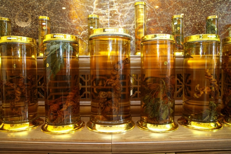 Sâm Ngọc Linh: "Quốc bảo" thần dược đến từ rừng sâu Sâm Ngọc Linh Quốc bảo thần dược đến từ rừng sâu