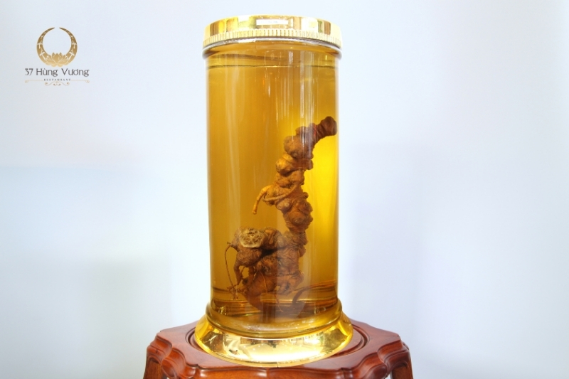 Sâm Ngọc Linh: "Quốc bảo" thần dược đến từ rừng sâu Sâm Ngọc Linh: "Quốc bảo" thần dược đến từ rừng sâu