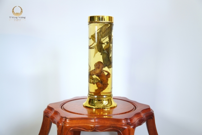 Sâm Ngọc Linh có công dụng gì, cách dùng như thế nào Sâm Ngọc Linh có công dụng gì, cách dùng như thế nào