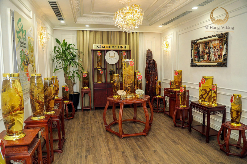 Cách dùng Sâm Ngọc Linh đúng chuẩn để phát huy trọn công dụng “quốc bảo Việt