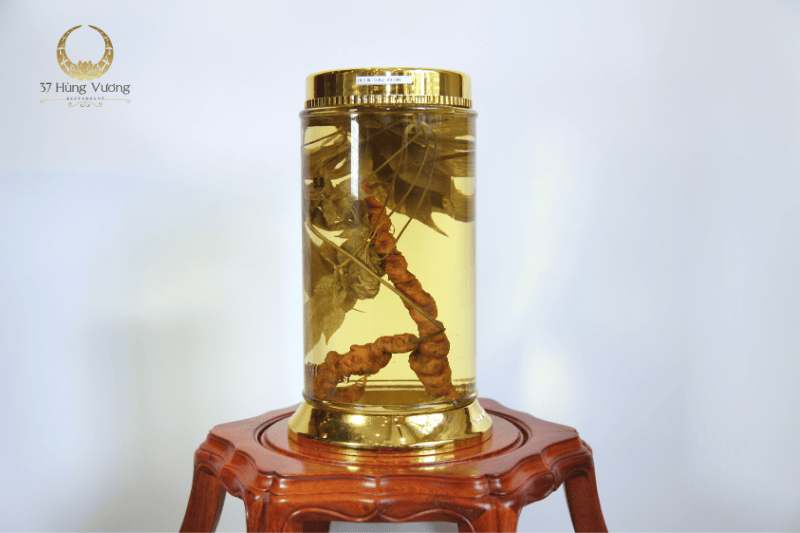 Sâm Ngọc Linh: Báu vật đại ngàn và giá trị sức khỏe vượt trội