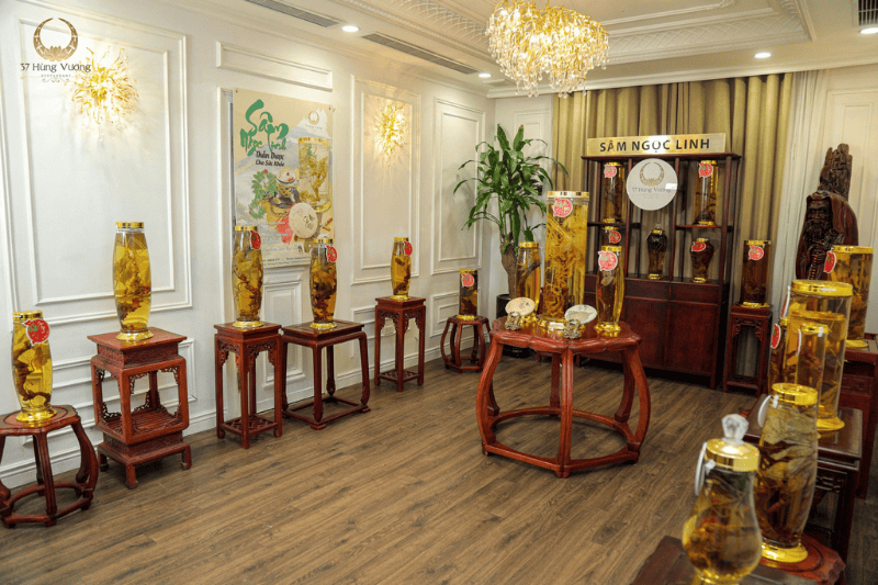 Sâm Ngọc Linh: Hành trình gìn giữ và nuôi trồng tinh hoa của núi rừng Việt Nam