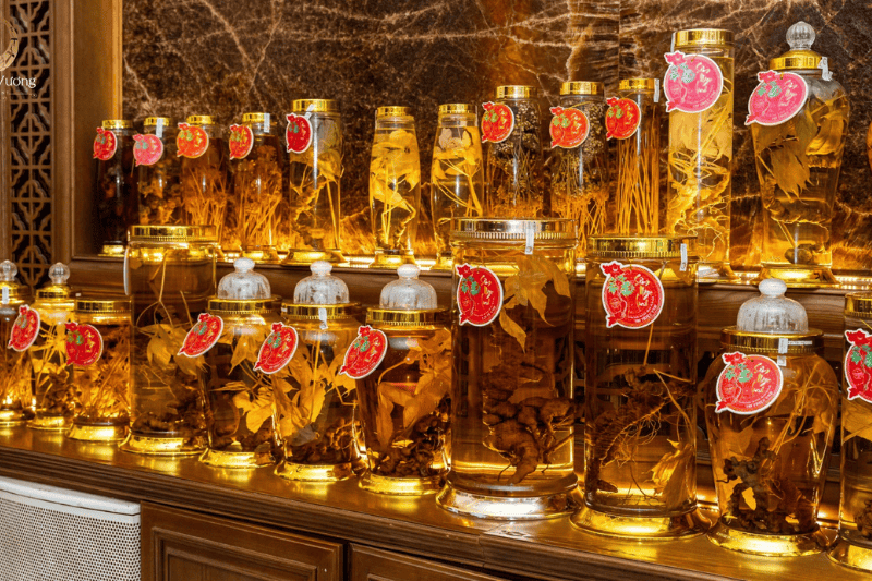 Sâm Ngọc Linh: Quốc bảo Việt Nam với giá trị vượt trội cho sức khỏe